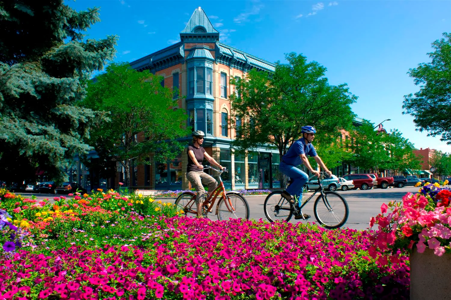 Fort Collins skyline