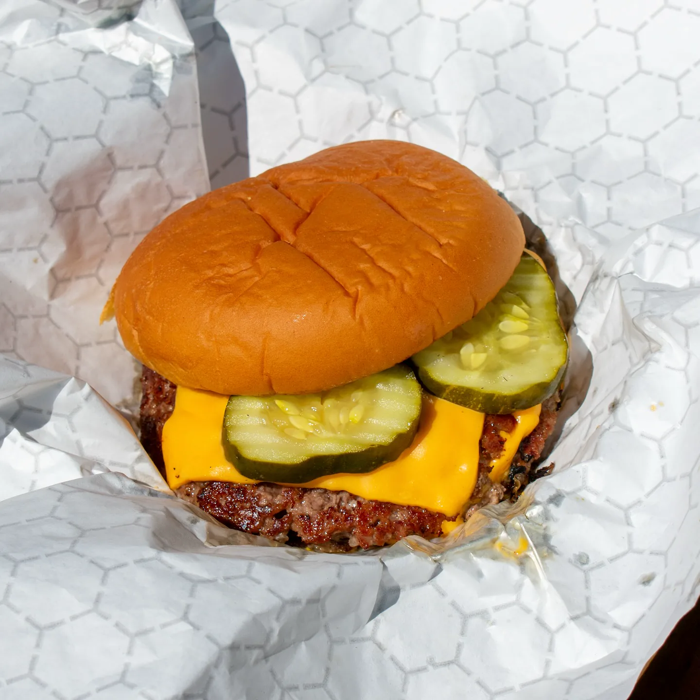 Patty Palace burger close-up with melted cheese
